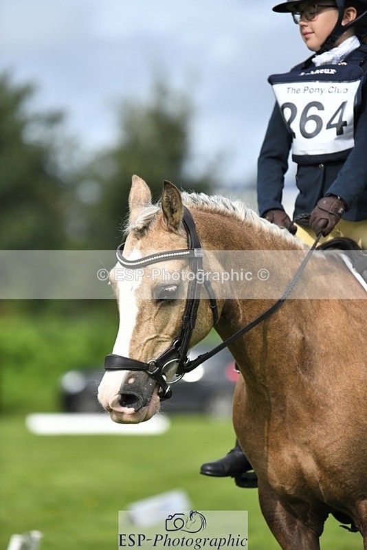 230826-102318-15459 - Sections C & D 10 to End