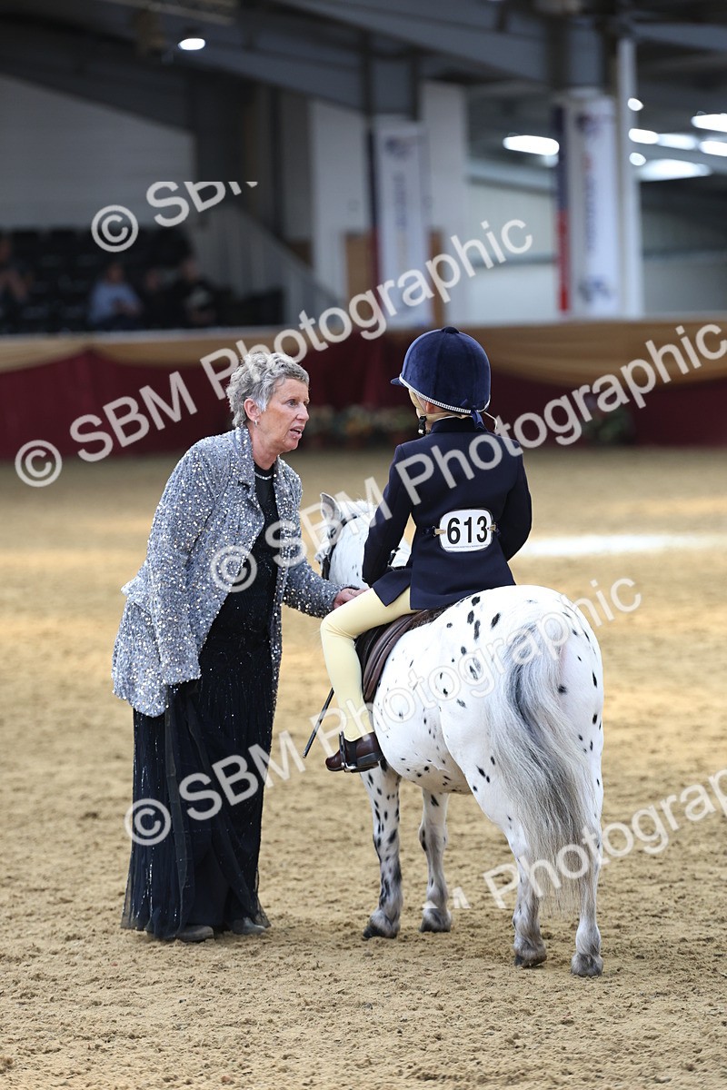 SBM_24104 - Class 905 - Supreme Final - Ridden Veteran