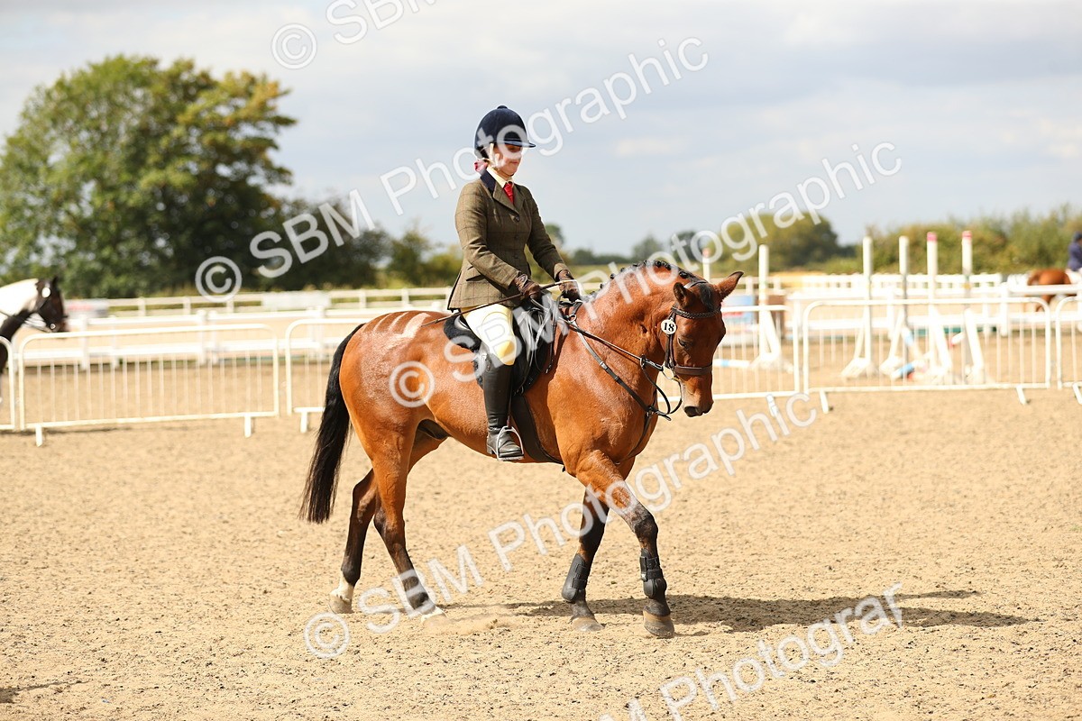 SBM_04852 - Class 47a Style & Performance 60cm (15-19)