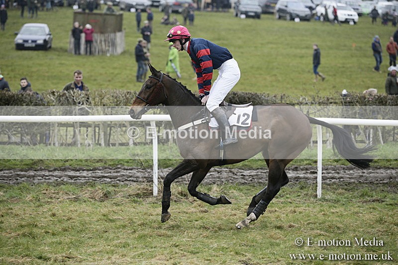 PtP 020418 -92 - Old Berks Point-to-Point Races Easter Monday 02/04/18