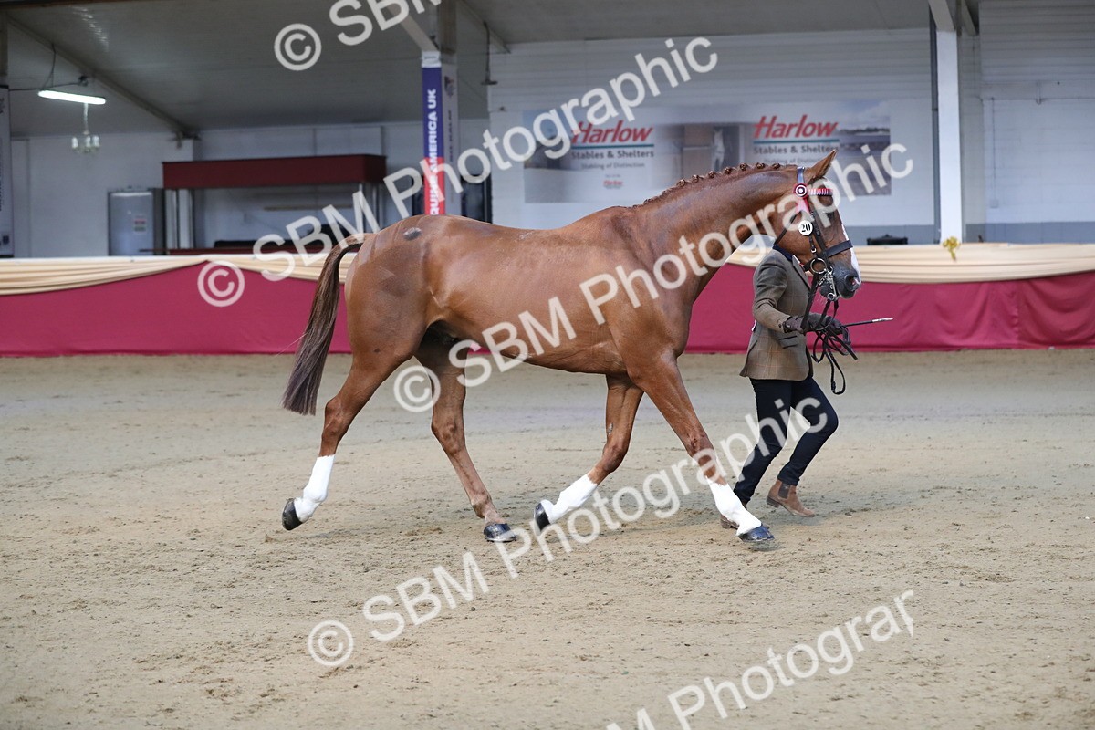 SBM_00547 - class 2a Area IH Veteran