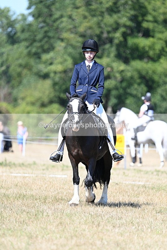 WJ7_0221 - Time 11:03 to 11:28