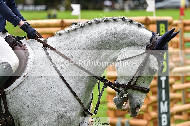 231021-120202-16368 - 061-SAYS.ALL-Maisie.Morgan-SJ