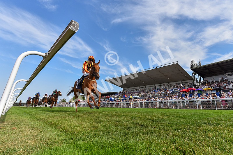 130826-Race 6-Saxon Grace-5271 - Race 6 16.45pm Racing Again On Saturday 29 August Handicap