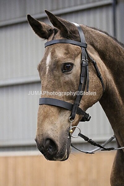 SIAL2698 - Sunday 14th Ridden