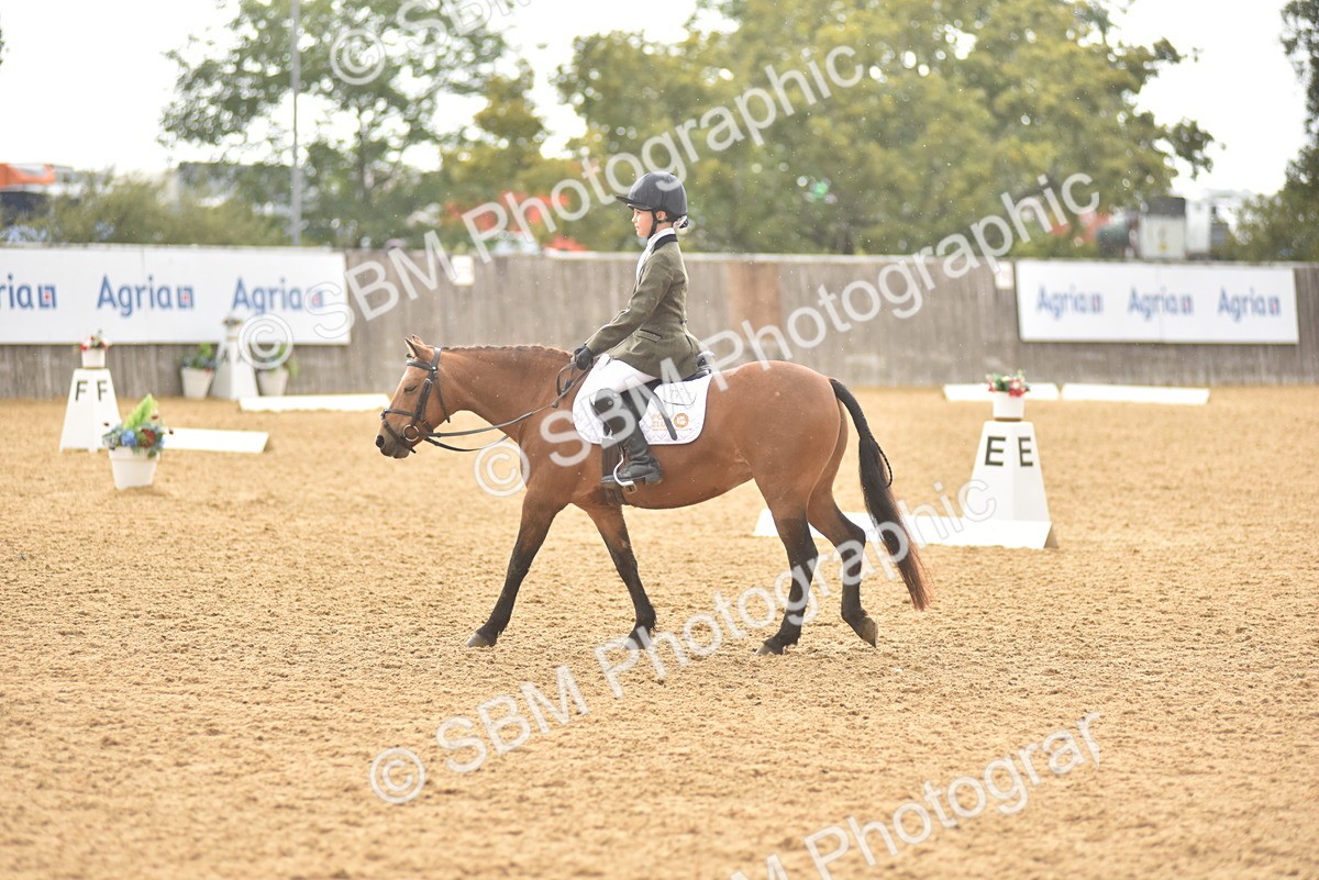 SBM_42399 - D22 - Junior Championship Intro 3