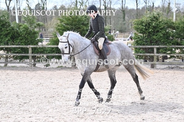 BPP_7627 - RING 1  (RIDDEN HORSES / IN HAND / VETERAN ETC)
