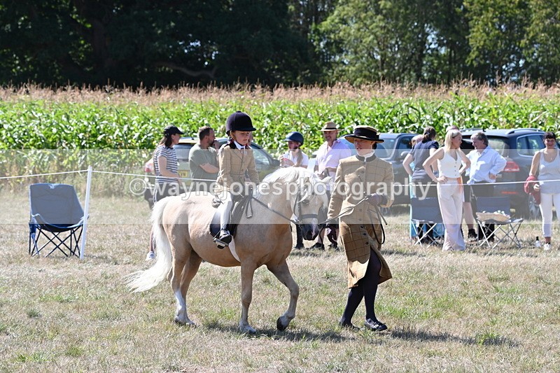 WJ6_8049 - Class 36 Lead Rein