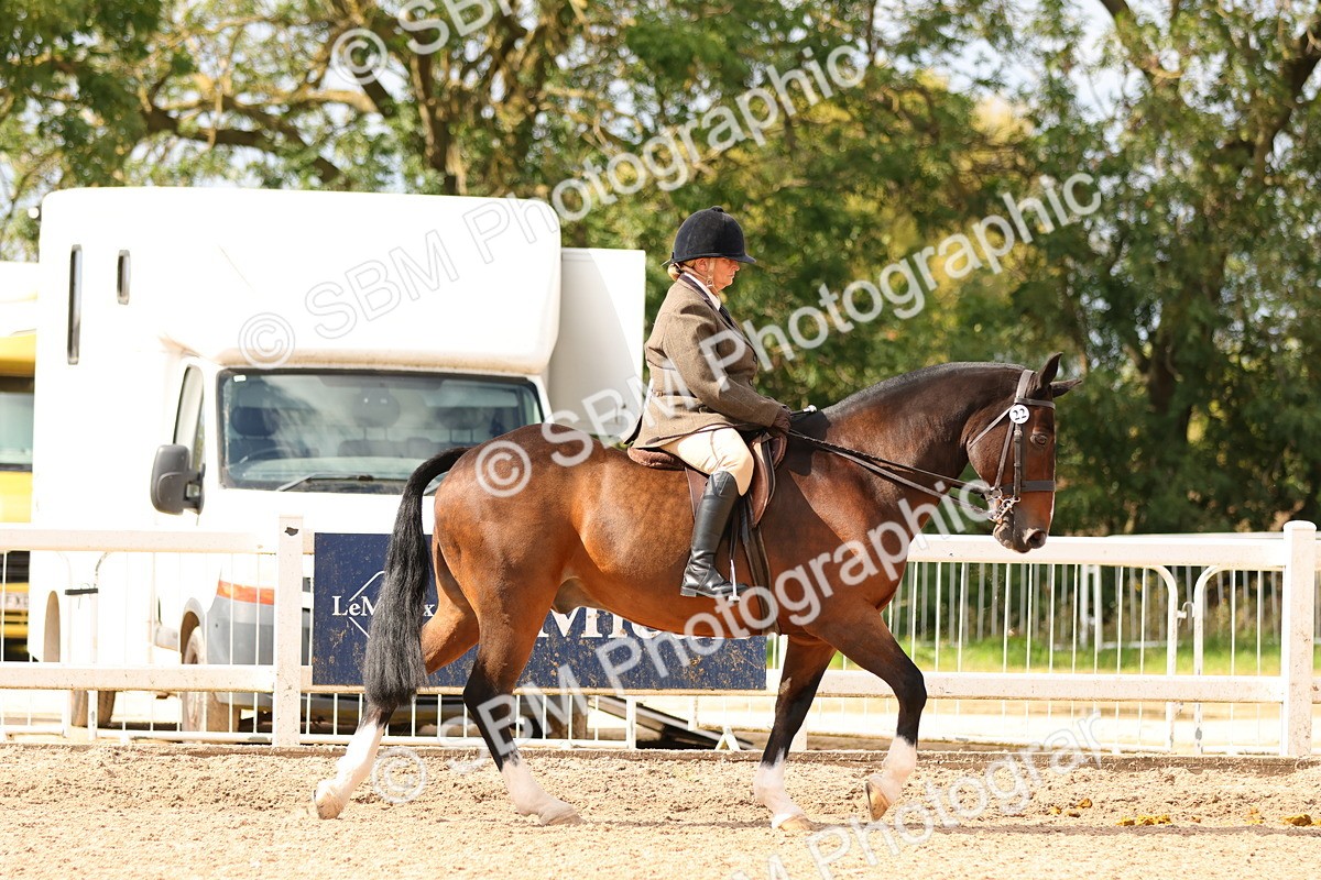 SBM_15453 - Class 214 - Ridden Show Cob