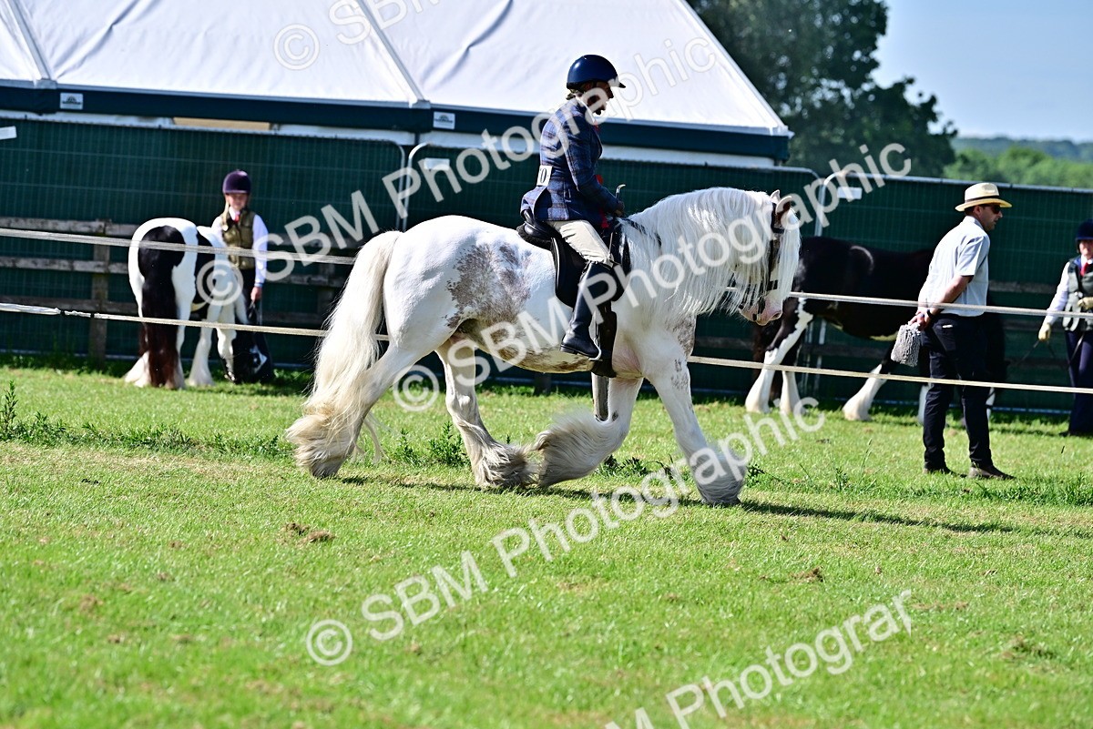 SBM_09468 - Class 63-65 - Traditional Gypsy Cobs In Hand & Ridden