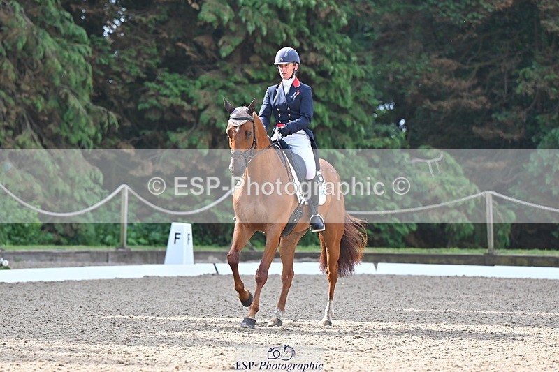 250523A-091203-05453 - D-453-Daisy.Berkeley-DIESE.DU.FIGUIER