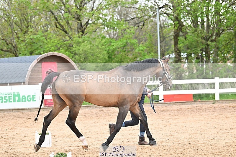 250423-163156-02178 - 4pm to 5pm