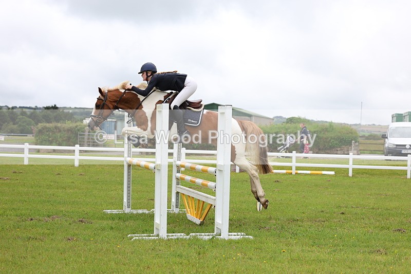 3E7A6721 - Class 10: Pony Newcomers/1m open