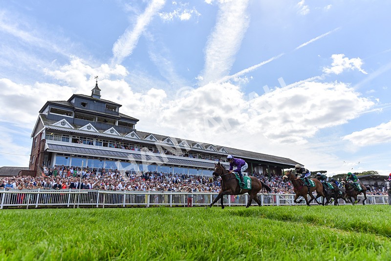 030824-Race 1-Mademoiselle-2389 - Race 1