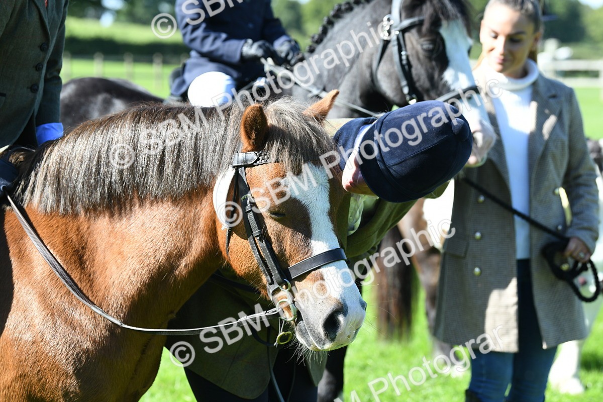 SBM_39627 - S18 - Novice & Newcomers Lead Rein Pony