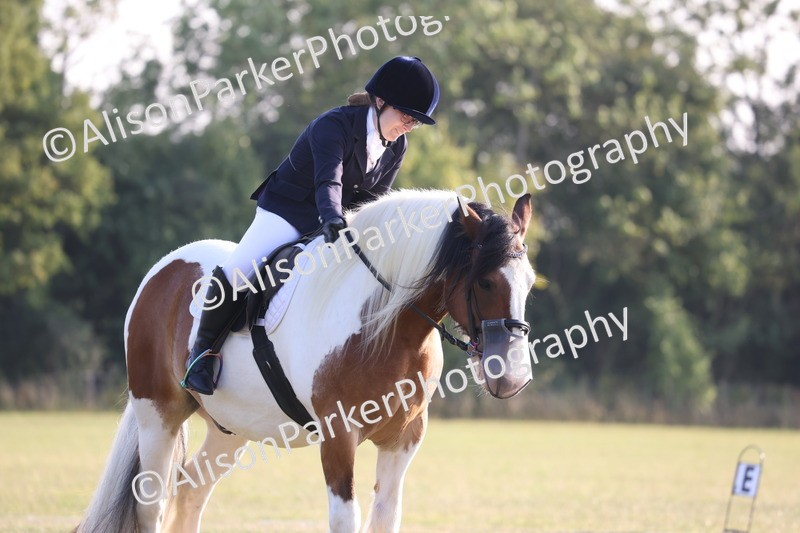 20250731-0817 - Class 1 - Intro 4