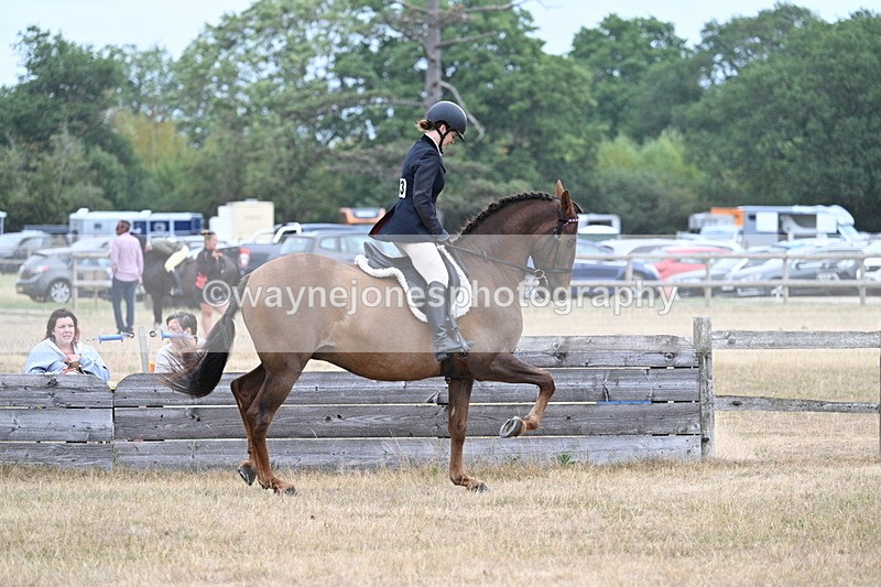 WJ7_0878 - Class 7 Riding Club Show Horse