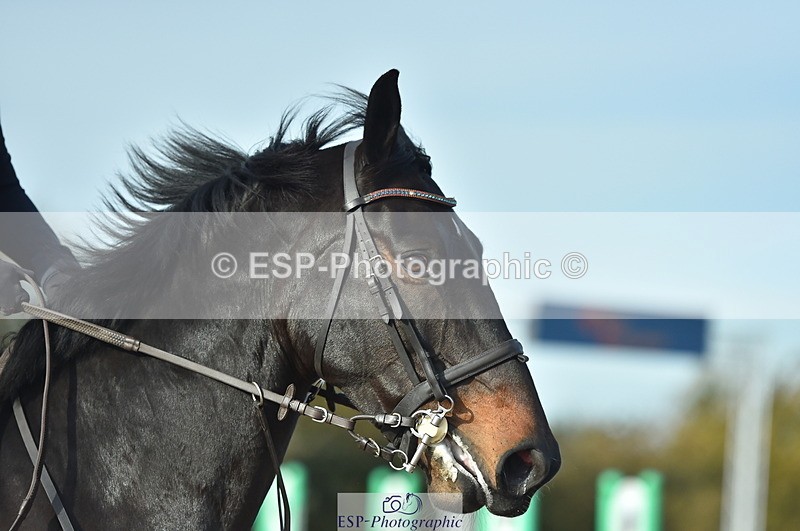 231111A-113424-01694 - Cls 11 Snr 1.05m Open