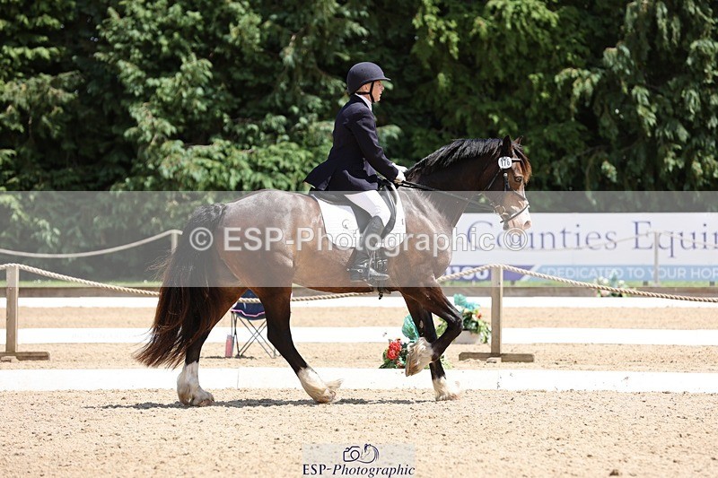 240721-133027-08823 - 176-Amanda_Williams-Llanarth_Westminster