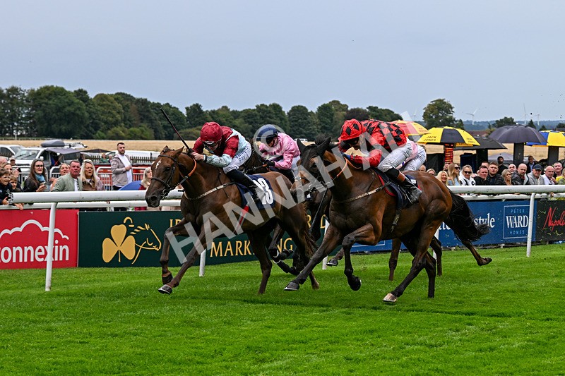 290826-Race 5-Supreme Clarets-7397 - Race 5 4.10pm Churchill Tyres Handicap