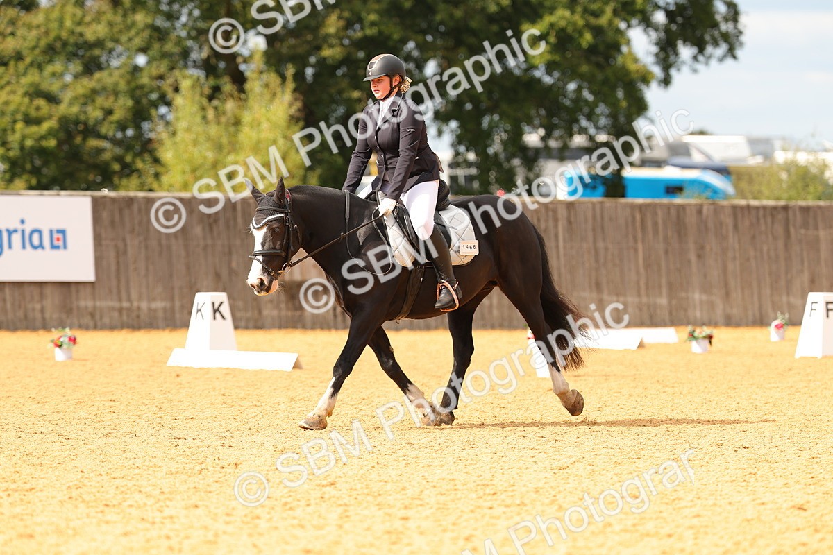 SBM_48194 - D22 - Junior Championship - Intro B