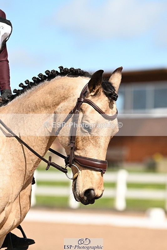 240324A-131725-03605 - Novice 27, 12.30 to 13.50