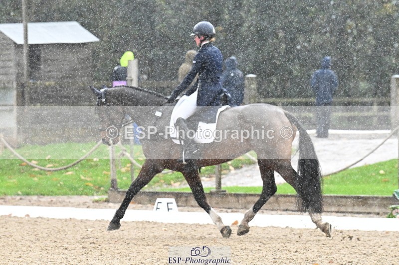 251023A-121608-02191 - B-143-Amber.Williams