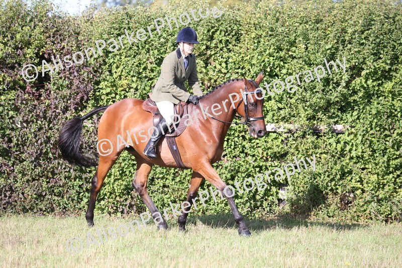 20260906-0388 - Class 14 - Ex Racehorse