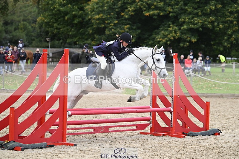 251005A-130542-04045 - Cls 08 Mini 70-75cm