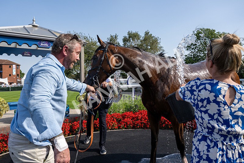 130826-Race 4-Shazani-8417 - Race 4 15.45pm Connexin Super Fast Sprint Handicap