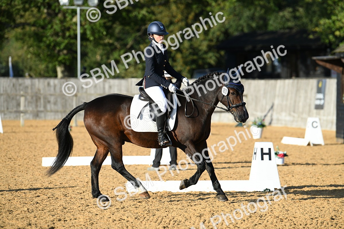 SBM_30782 - D16 - Small Tour Championship - Novice 28