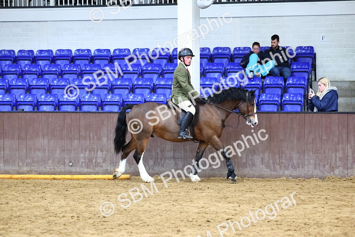 SBM_005097 - Class 41 - Not exceeding 143cms