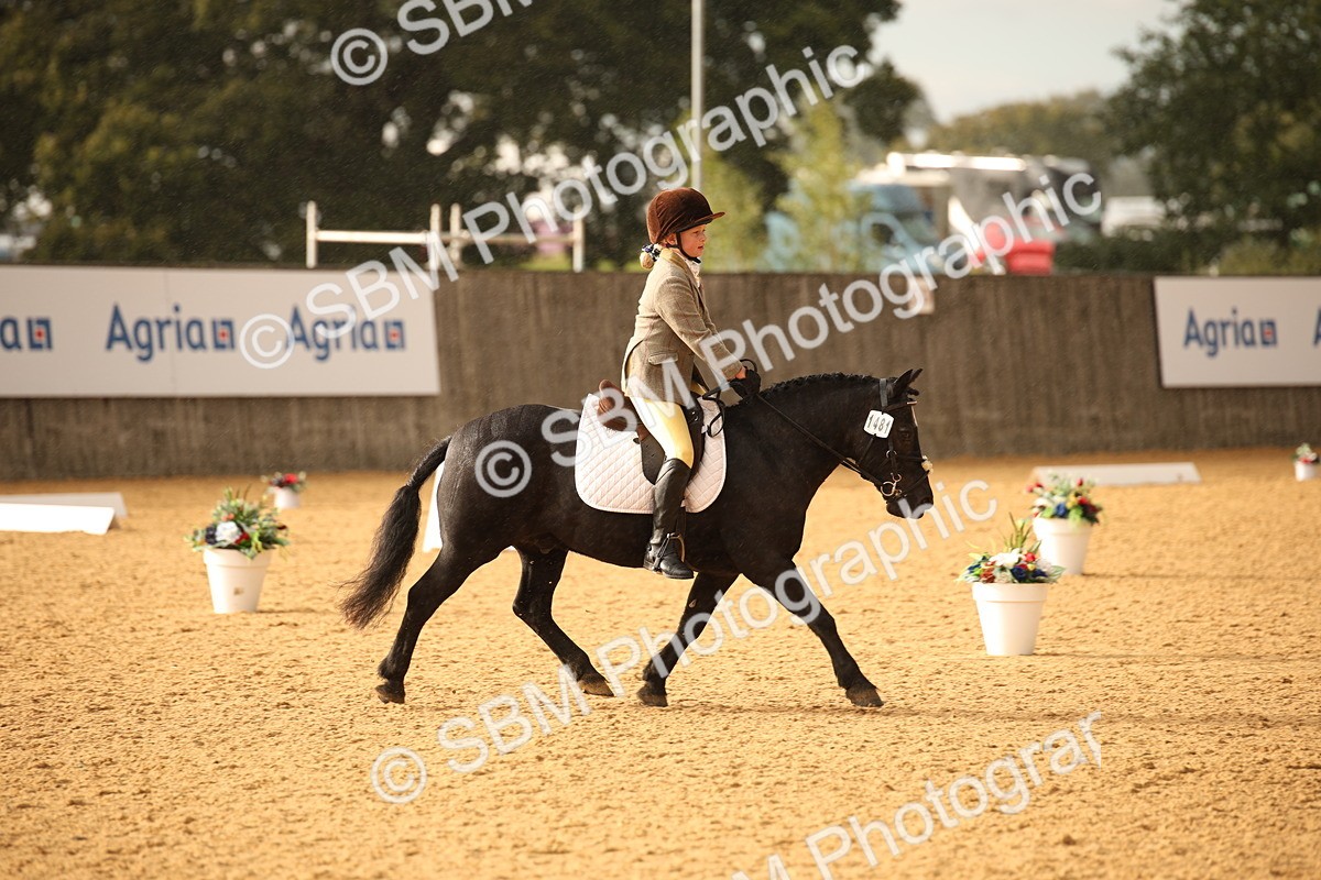 SBM_12365 - D3 Small  Tour Championship Intro A