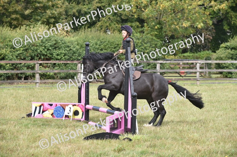 20250831-1866 - Class 9 - Absolute Novice 45cm