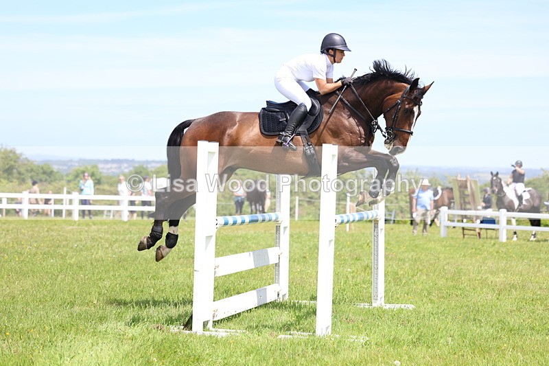 3E7A1296 - Class 12: Senior Foxhunter/1.20 open