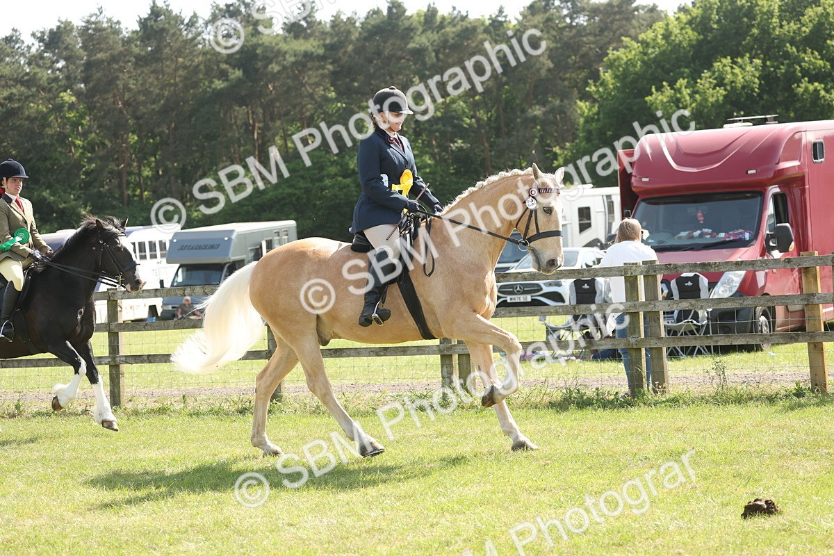 SBM_09288 - Class 31-32 - SSADL Members Challenge