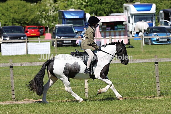 IMG_3938 - Working Hunter