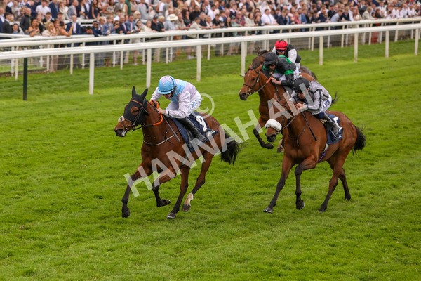 250524-Race 4-Term Of Endearment-3147 - Race 4 3.20pm William Hill Bronte Cup Fillies' Stakes