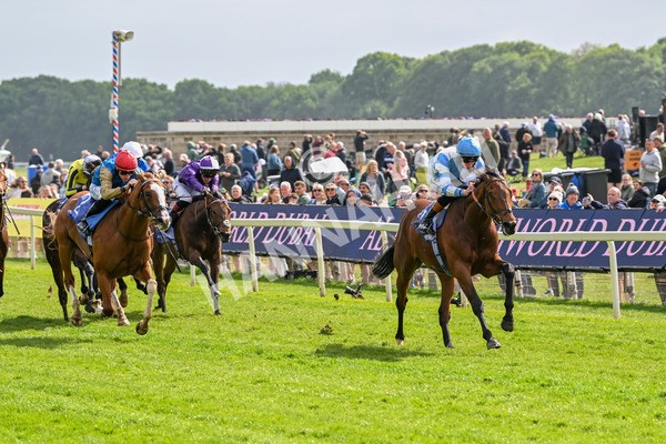 150525-Pride Of Arras-4683 - Race 4 3.45pm Al Basti Equiworld Dubai Dante Stakes
