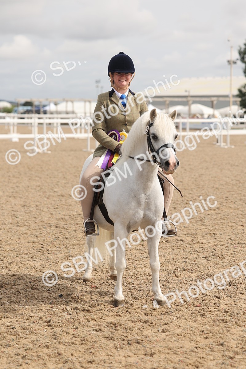 SBM_04593 - Class 19 - Horse/Pony Judge would most like to take home