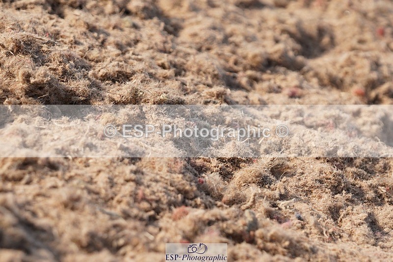 250621-182546-10444 - RoR Cls 7b-8b Elem and Medium