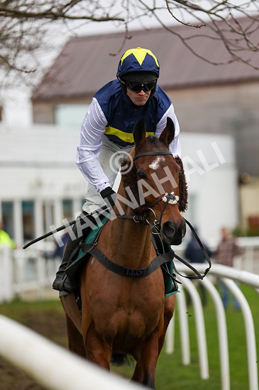 110124-Race 5-Track And Trace-5248 - Race 5