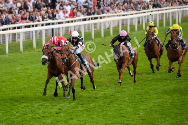 250823-Race 5-Reach-0860 - Race 5 4.10pm Assured Data Protection EBF Fillies' Handicap