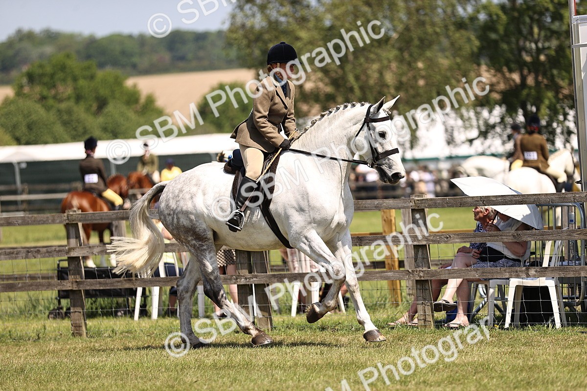 SBM_15065 - Class 79-80 - LIHS BSHA Rising Star Ridden Hunter