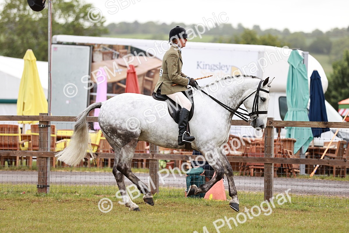SBM_10764 - Class 81-84 - RIHS Ridden hunters Inc Ladies Hunter