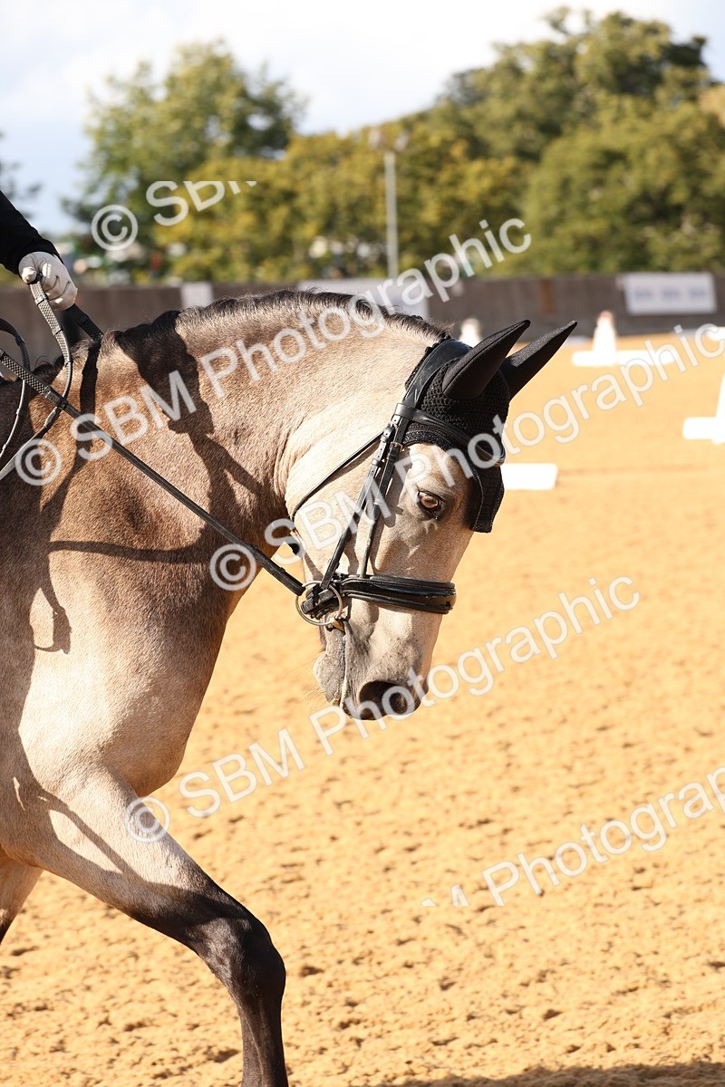 SBM_27034 - D17 - Grand Tour Championship Novice 3