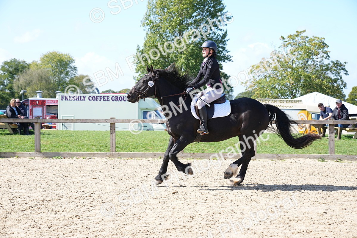 SBM_04962 - J56 - Clear Round 70cm