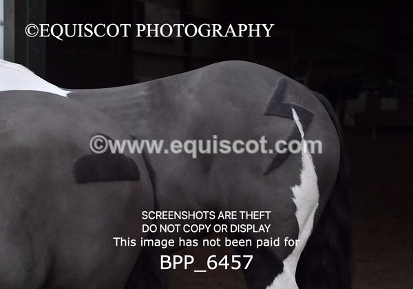 BPP_6457 - Morna Russell