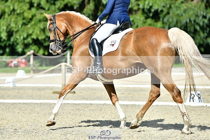 230623-165437-02925 - Cls 9 Advanced Medium 91Q