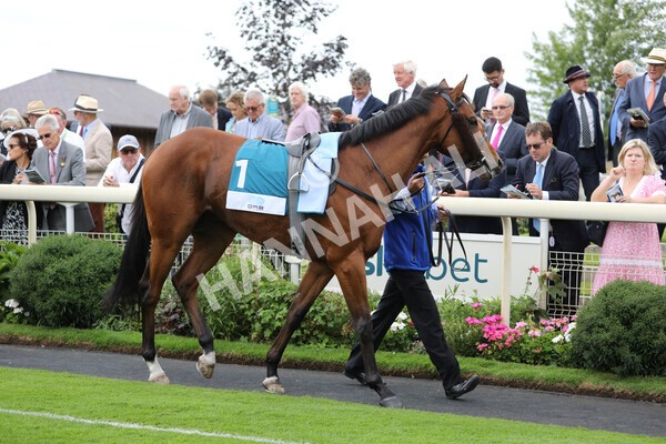 yr18082022r6-4 - Race 6 4.45 pm OR8wellness ebfstallions Nursery Handicap